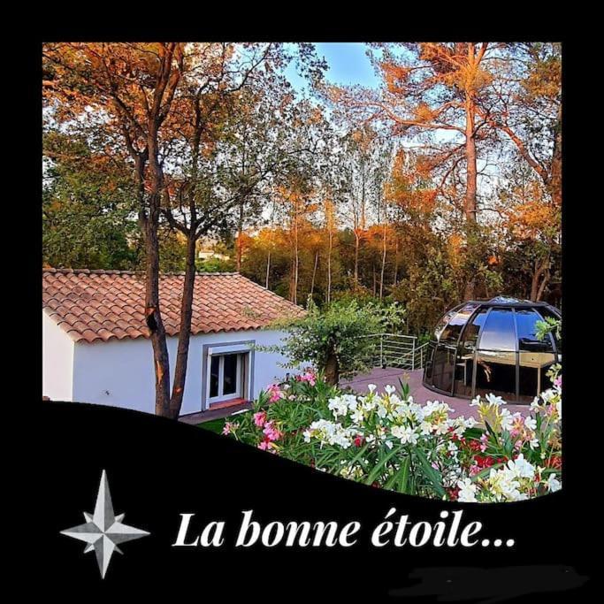 La Bonne Etoile Marseille ! Hebergement Romantique ! Jacuzzi Et Piscine ภายนอก รูปภาพ